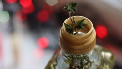 فوائد زيت الزيتون