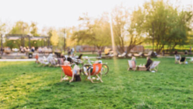 متى ينتهي مشروع حديقة الملك سلمان