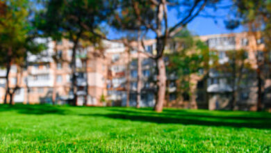 الشركات المنفذة لمشروع حديقة الملك سلمان