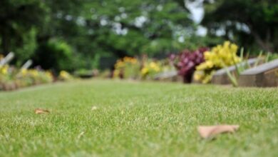 موقع مشروع حديقة الملك سلمان