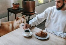 أفضل العادات الصباحية