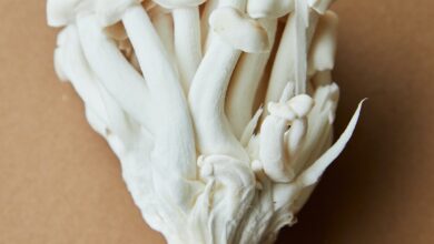 اطعمة غنية بالألياف