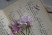 ربح المال من الكتابة