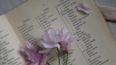 ربح المال من الكتابة