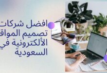 شركات البرمجة في السعودية